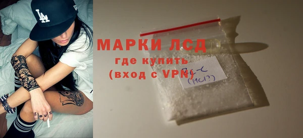 прущие грибы Снежинск