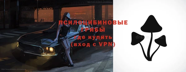 прущая мука Арсеньев