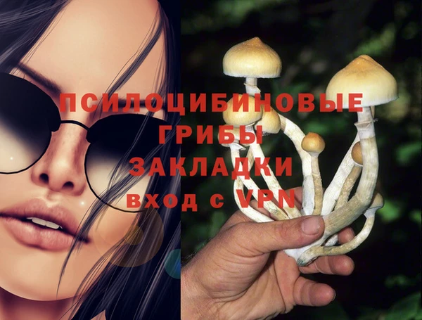 прущая мука Арсеньев
