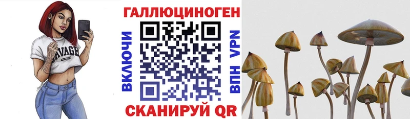 Галлюциногенные грибы MAGIC MUSHROOMS  хочу   Шадринск 